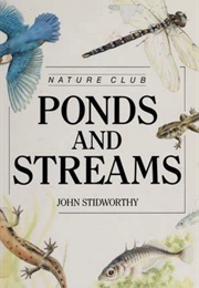 Ponds and Stream (John Stidworthy)