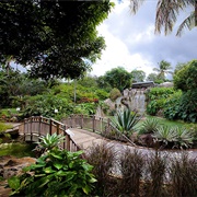 Jardin Botanique De Deshaies, Guadeloupe