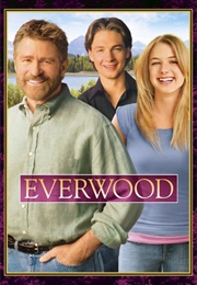 Everwood Season 4 (2005)