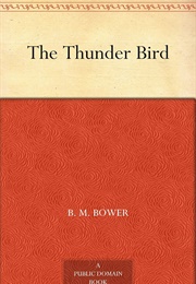 The Thunder Bird (B.M. Bower)