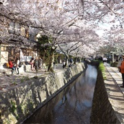 Philosopher&#39;s Walk, Kyoto