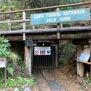 Long Tunnel Extended Gold Mine