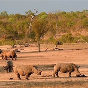 Mkhaya Game Reserve, Eswatini