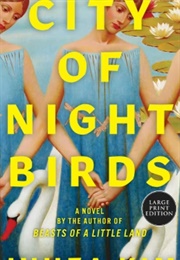 City of Night Birds (Juhea Kim)