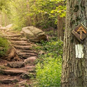 Appalachian Trail