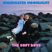 Kingdom of Love - The Soft Boys