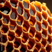 Honeycomb