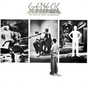 Fly on a Windshield - Genesis