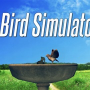 Bird Simulator