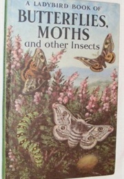 Butterflies, Moths and Other Insects (Stanley Arthur Manning)