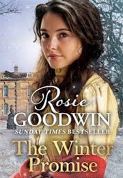 The Winter Promise (Rosie Goodwin)