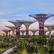 Gardens by the Bay, Singapore