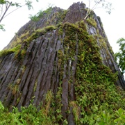 Pwisehn Malek, Pohnpei, Caroline Islands, Micronesia