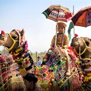 The Pushkar Camel Fair, India