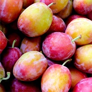 Victoria Plums