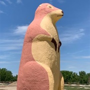 Giant Prairie Dog, South Dakota