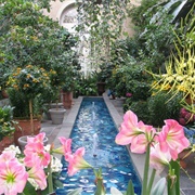 United States Botanic Garden, Washington, DC