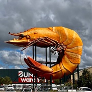 The Big Prawn