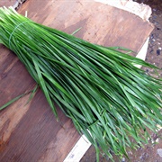 Chinese Chives