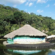 Bioparque Los Ocarros (Los Ocarros Biopark)