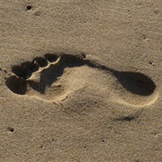 Footprint