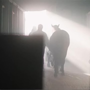 S1.E5: Horse Hitman