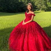 Princess Dress/Ballgown