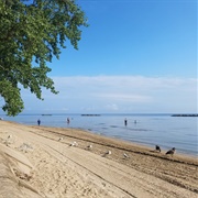 Swim in Lake Erie