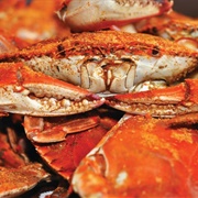 Blue Crabs