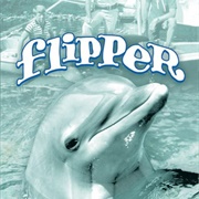 Flipper Season 2