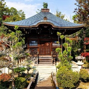 Seiryo-Ji, Japan