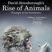 David Attenborough&#39;s Rise of Animals: Triumph of the Vertebrates