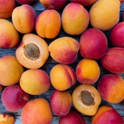 Apricot