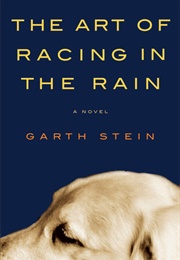 The Art of Racing in the Rain (Garth Stein)