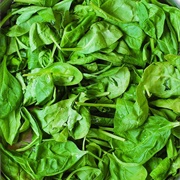 Fresh Spinach