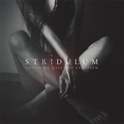 Stridulum- Soothing Tales of Escapism