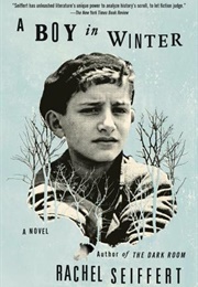 A Boy in Winter (Rachel Seiffert)