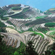 Longji Rice Terraces, China