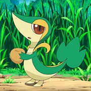 666. Snivy Plays Hard to Catch!