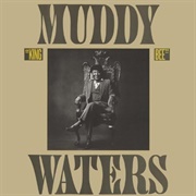 Mean Old Frisco Blues - Muddy Waters