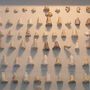 Nasothek Nose Collection