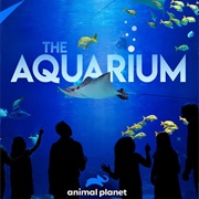 The Aquarium