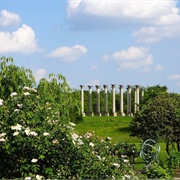 National Arboretum, Washington DC