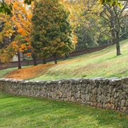 Fredericksburg Battlefield, Virginia