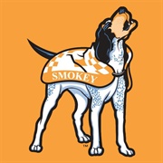 Tennessee Volunteers