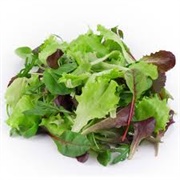 Mixed Salad Leaves