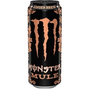 Monster Energy Mule