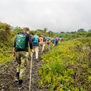 Trek Wild Life in Africa