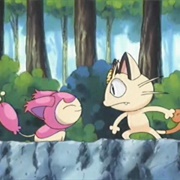 323. I Feel Skitty!