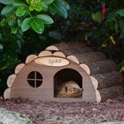 Build a Hedgehog Home